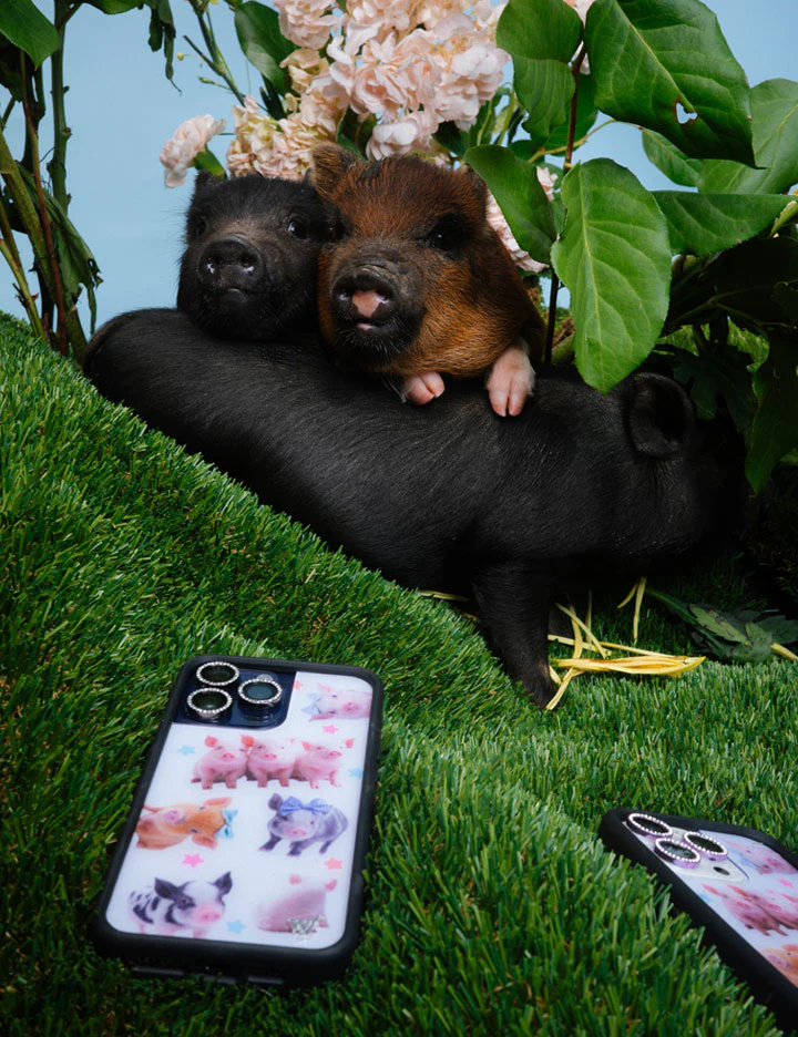 Little Piggies iPhone Case - Image 46